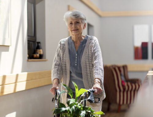 The Perfect Blend of Elegance and Care in Senior Living